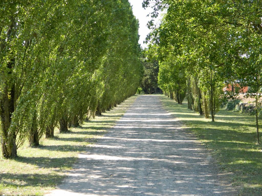 Gite De Cray Lussault-sur-Loire Екстер'єр фото